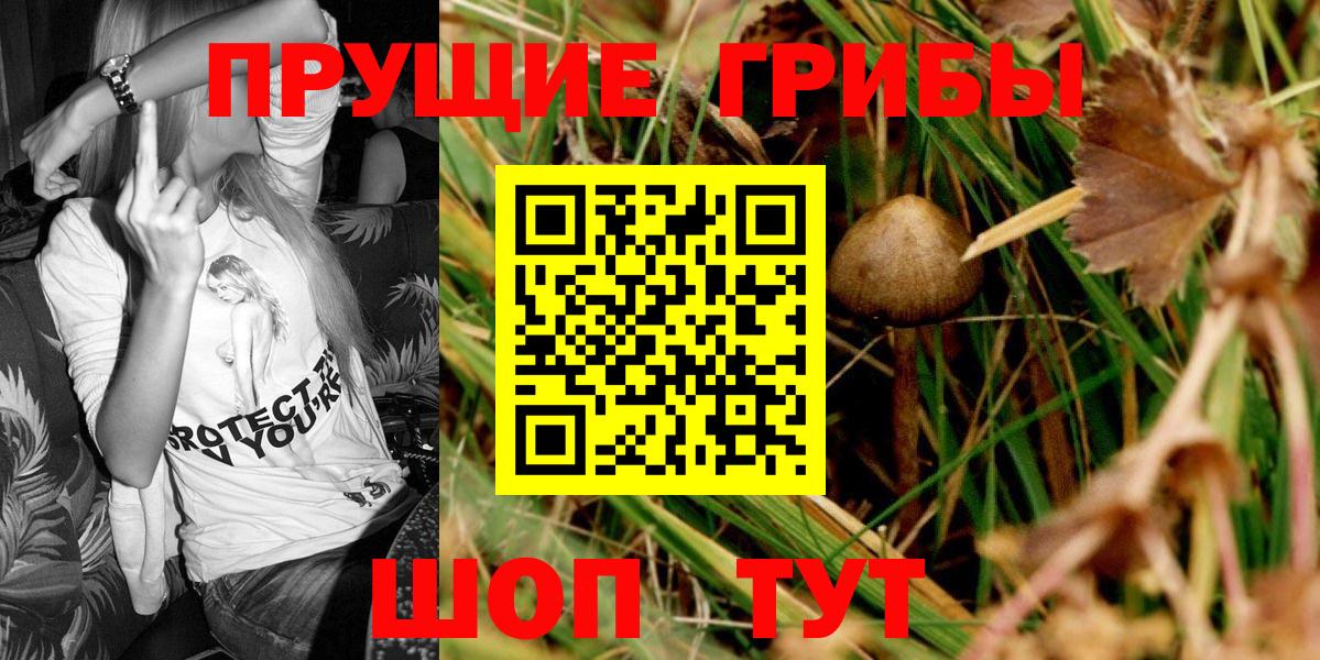 Псилоцибиновые грибы MAGIC MUSHROOMS Кызыл