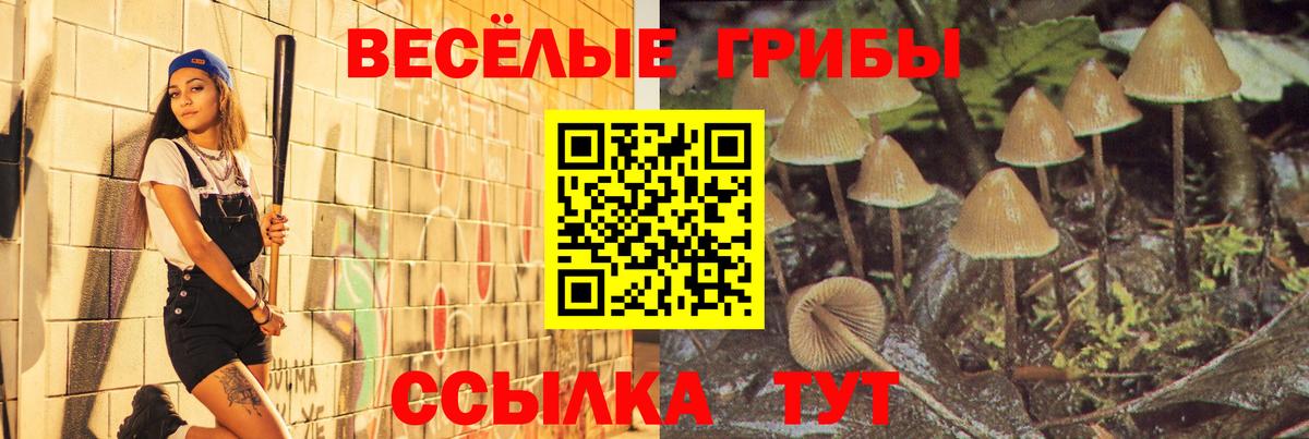 Галлюциногенные грибы Cubensis  Псилоцибиновые грибы Magic Shrooms  Вход с VPN  Кызыл 