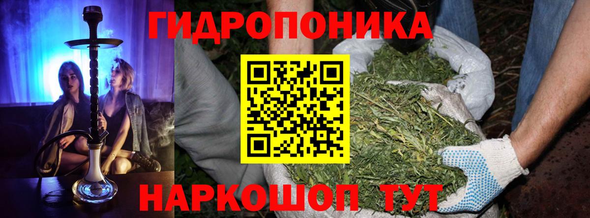 Марихуана план Кызыл
